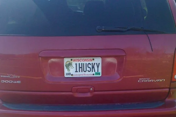 License plate