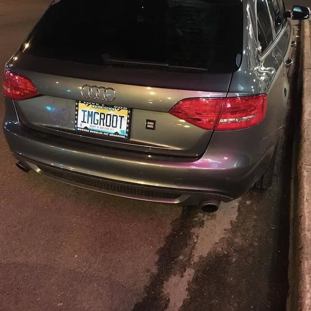 License plate