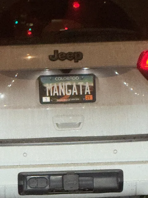 License plate