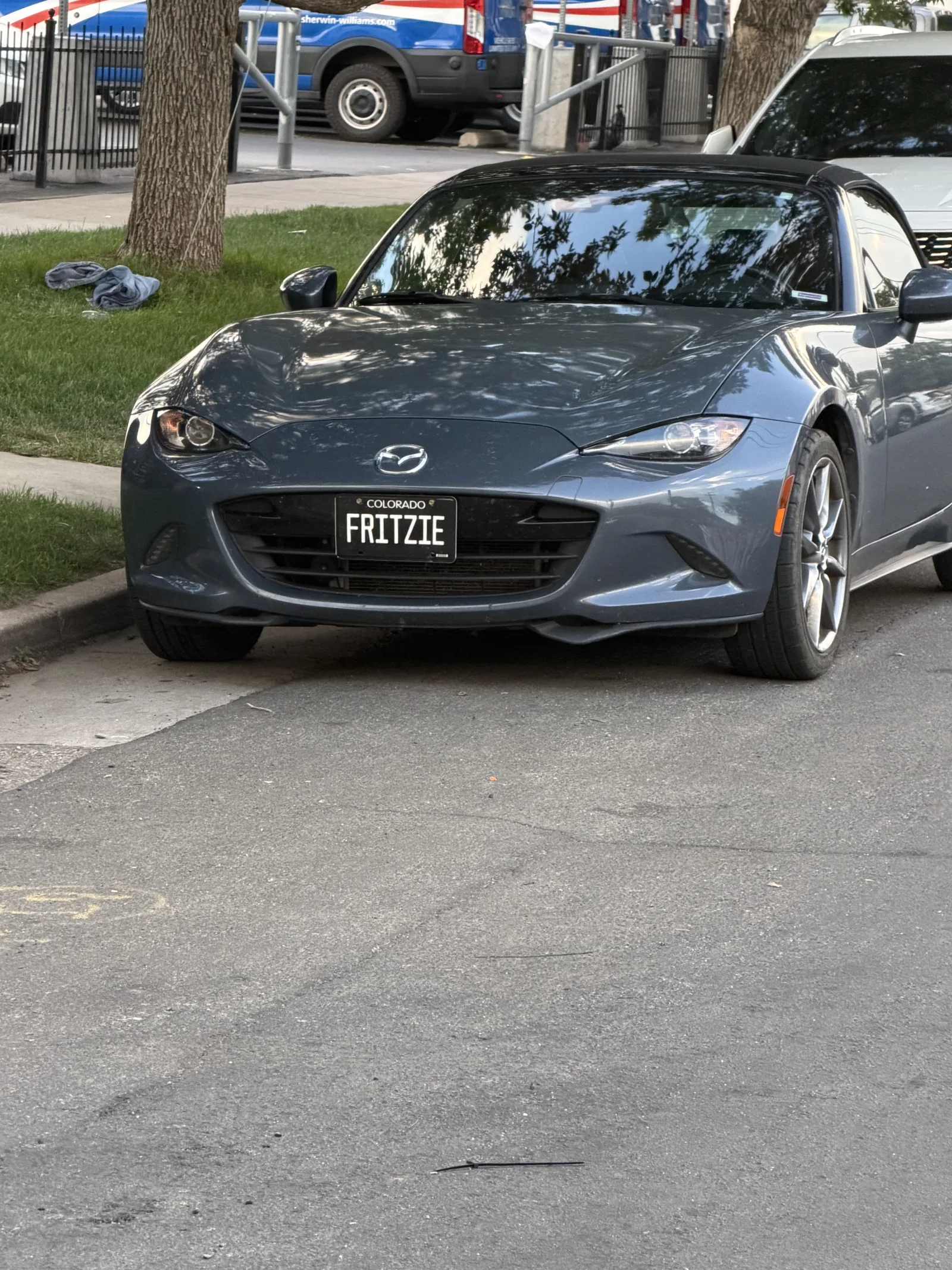FRITZIE — CO
