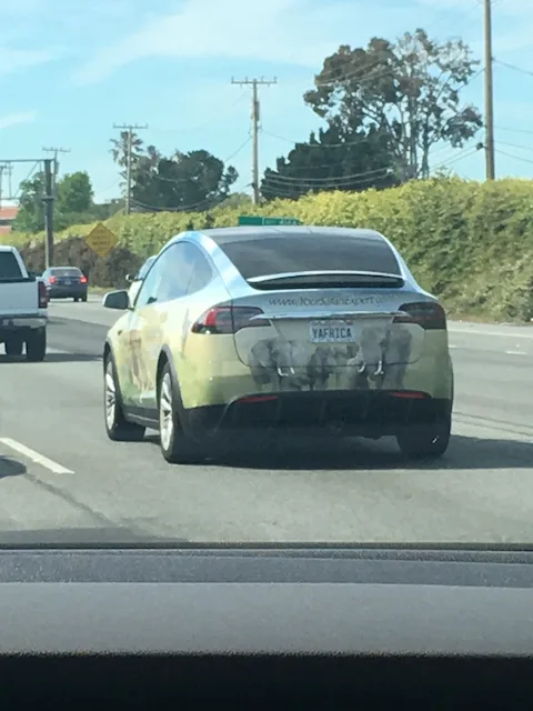 License plate