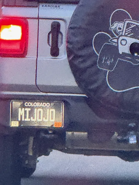 License plate