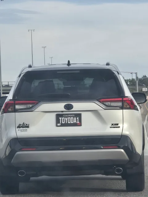 License plate