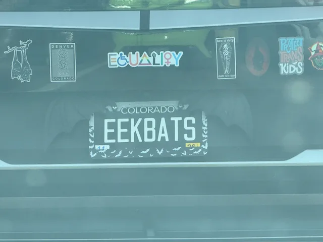 License plate