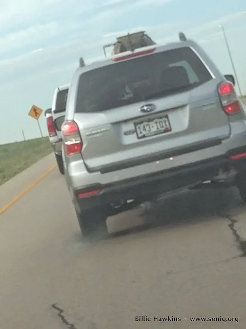 License plate