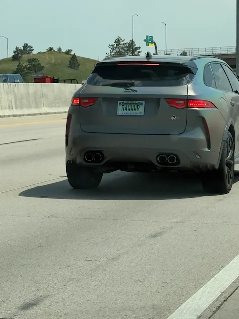License plate