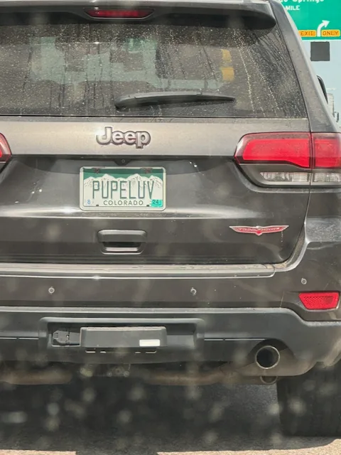License plate