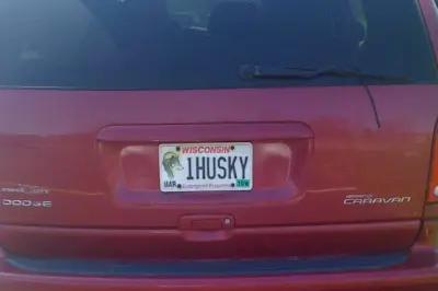 License plate