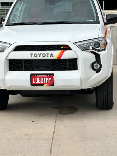 LOBOTMY