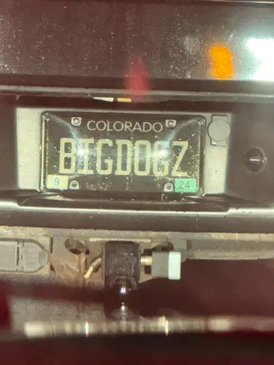 BIGDOGZ