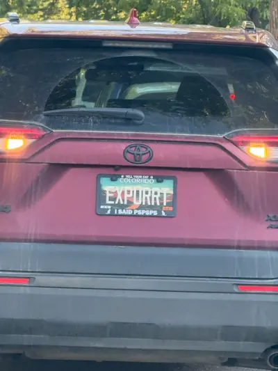 EXPURRT I SAID PSPSPS
