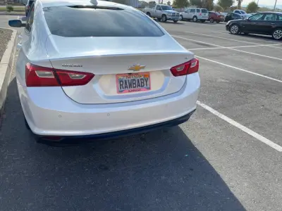 License plate