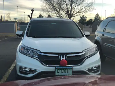 License plate