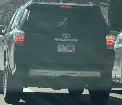 License plate