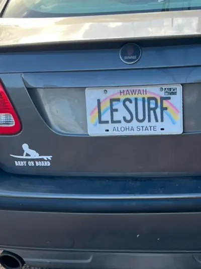 LESURF