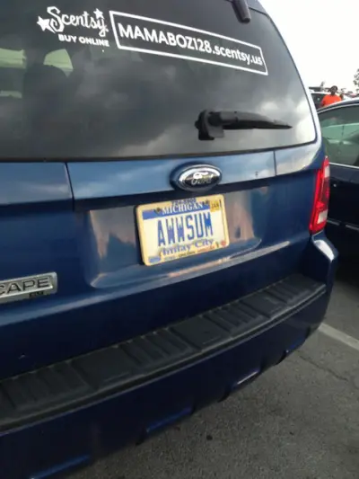 License plate