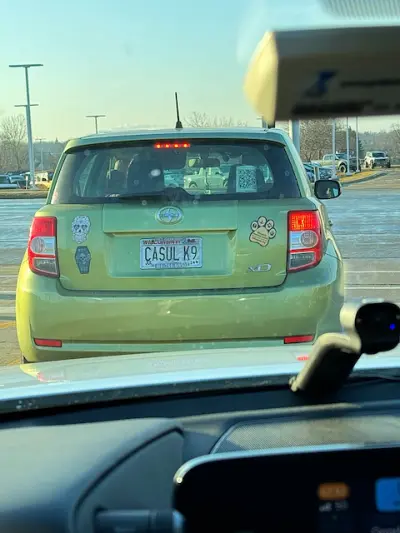 CASUL K9