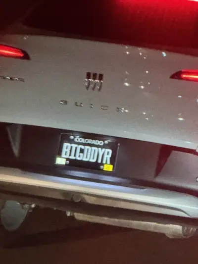 BIGDDYR