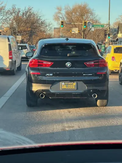License plate