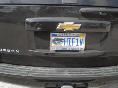 HIF1V