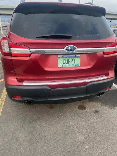 License plate