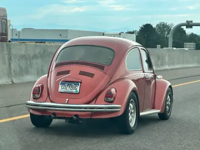 COZYBUG