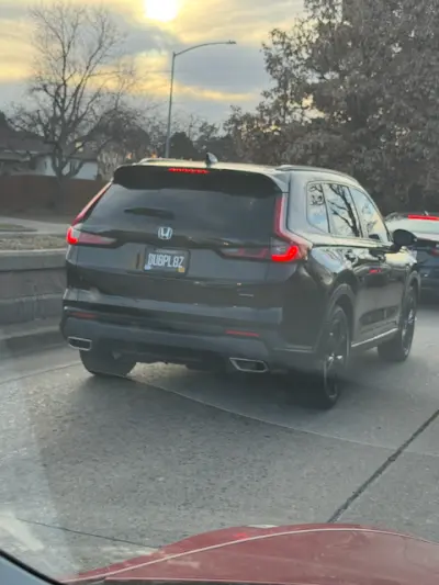 DUBPL8Z