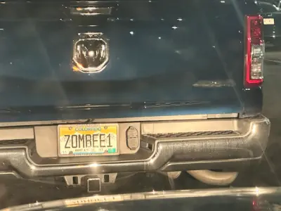 ZOMBEEL1