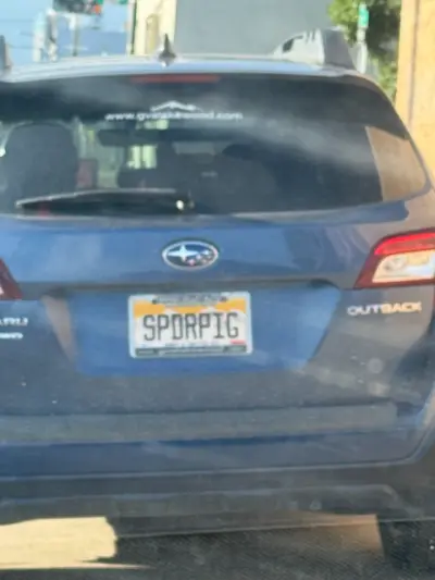 SPDRPIG