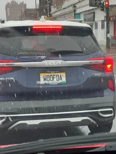 License plate