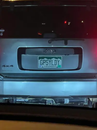 GPSYLDY