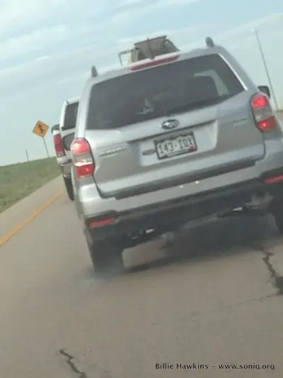 License plate