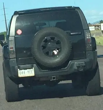 License plate