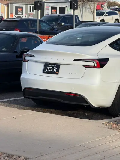 TESL3Y