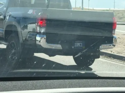 1DMC1