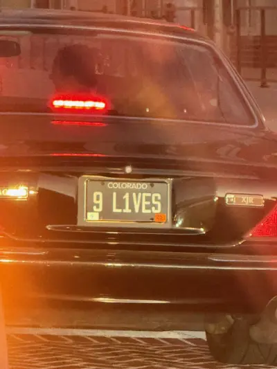 9 L1VES