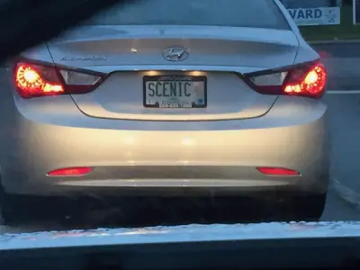 License plate
